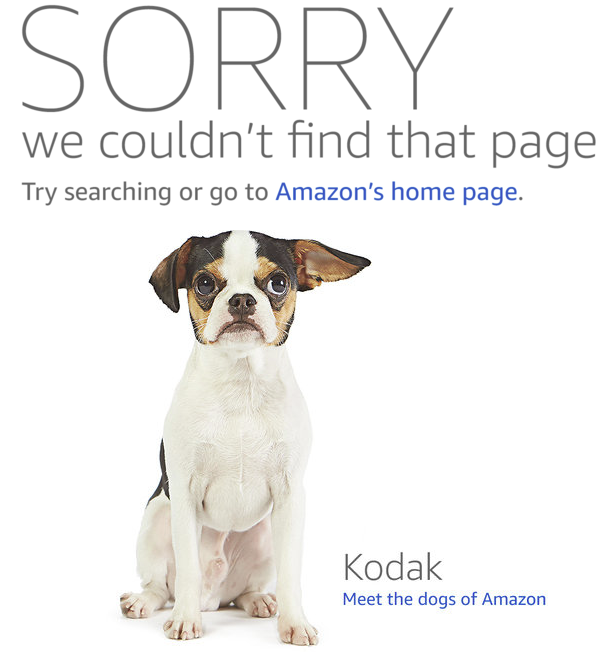 Improve Your SEO with a Custom 404 Page