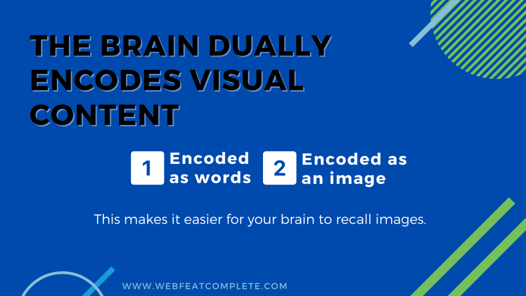 The brain dually encodes visual content- once as words and again as an image. 