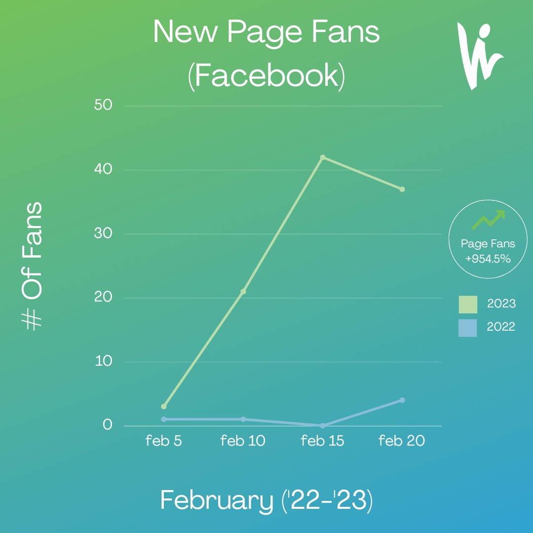 Facebook New Page Fans YOY Example